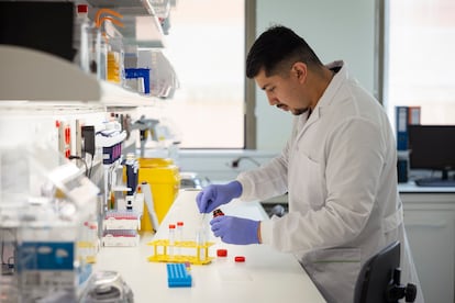 A researcher manipulates sample tubes in the laboratories of the Pasqual Maragall Foundation.