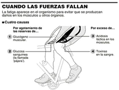 Cuando las fuerzas fallan