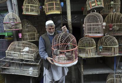 Un vendedor de aves sujeta una jaula en un mercado de aves en Kabul (Afganistán).