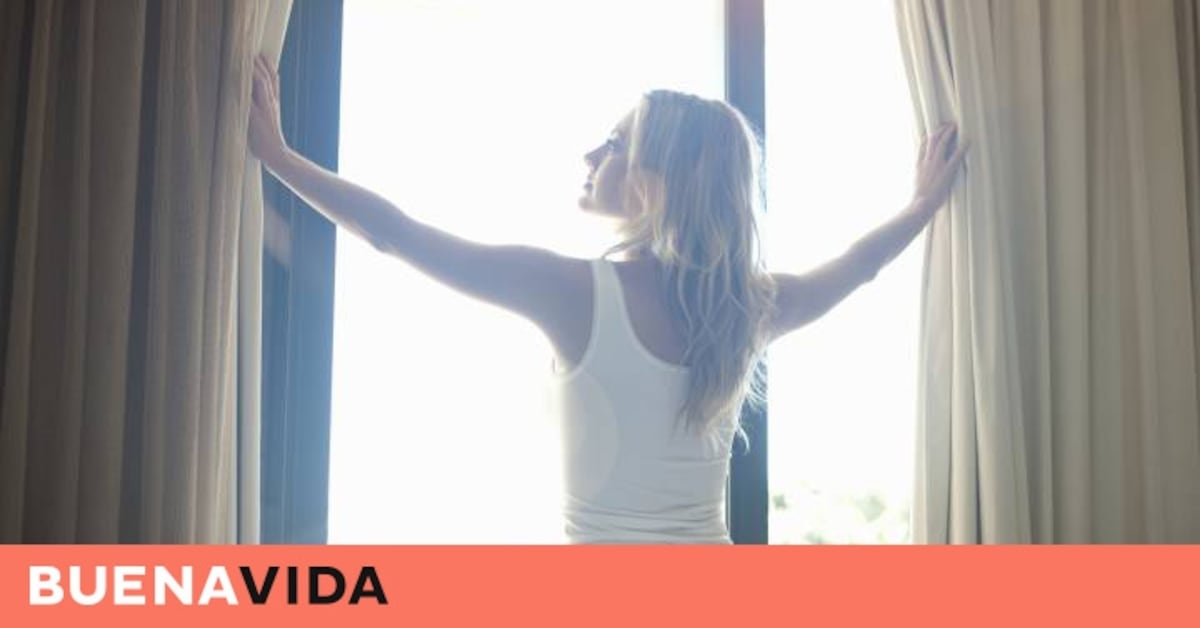 elpais.com