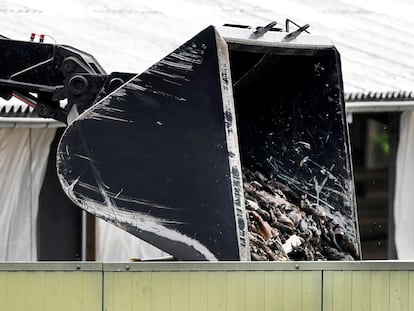 Una máquina retira los cuerpos de varios hurones de una granja con covid en los Países Bajos, en junio de este año.