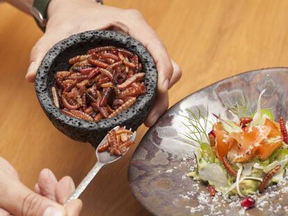 El cocinero de Punto MX completa un plato de chinicuiles con guacamole.