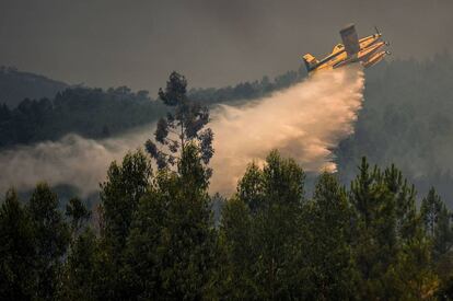 Um hidroavião combate fogo em Relva neste domingo.