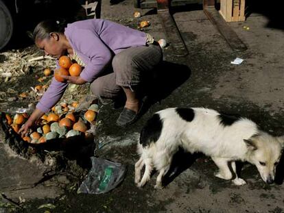 Una mujer revuelve entre productos podridos en un mercado de frutas y vegetales del centro de Buenos Aires.