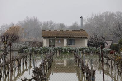 Si el domingo el punto más crítico fue en Tudela (Navarra), donde se alcanzó un caudal máximo de 2.700 metros cúbicos por segundo —en la gran riada de 2015 el caudal fue de 2.580 metros cúbicos por segundo— este lunes la riada castigó a Aragón. En la imagen, una casa inundada en la localidad zaragozana de Gallur, este lunes.