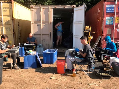 Temporeros, en una granja de Eureka, en 2019.