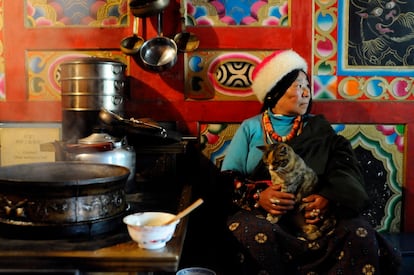 La familia de Zhuo Ma es una de las que aceptan en su casa a visitantes que quieran experimentar la vida de una familia tibetana. La mayoría de los interesados son extranjeros.