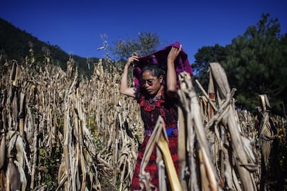 ujeres como burras de carga del agua. Un clásico. Antes, ellas la acarreaban desde el pozo o el río. Pero un proyecto les cambió la vida hace poco más de tres meses: ya disponen de agua potable en sus hogares. María Isabel Can, de 37 años, es vocal de la Comisión de Agua de Xesampual, creada para controlar el buen uso del agua que llega a las casas gracias a un nuevo sistema de bombeo. La mujer camina entre un campo de maíz mientras hace la ronda mensual para controlar los contadores de la comunidad.