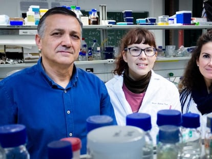 Carlos Santos Ocaña, con investigadoras de la Universidad Pablo de Olavide en los laboratorios de la institución.