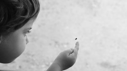 Un niño y una mosca.