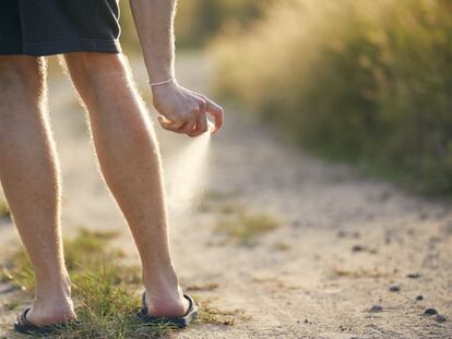 El aceite de cáñamo también está indicado para aliviar los picores e irritación causados en la piel por las picaduras de mosquitos. GETTY IMAGES.