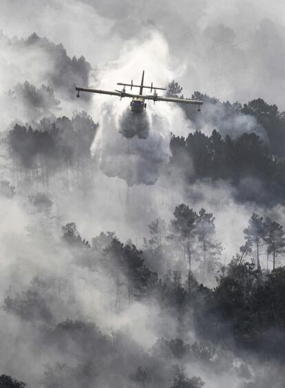 Un avin anfibio descarga agua sobre el fuego en Pi?or de Cea (Ourense).