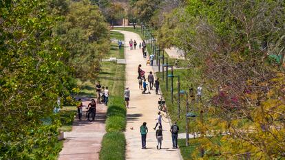 El Jardín del Turia, un espacio verde que recorre la ciudad de Valencia de este a oeste.