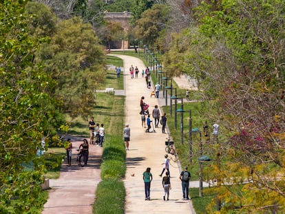 Por el antiguo cauce del Túria, en Valencia, convertido en parque, corren, pasean y pedalean valencianos y turistas.