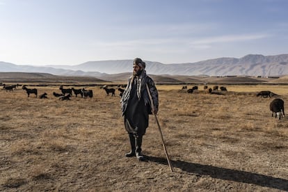 Los afganos han tenido que soportar la furia de la lucha contra el terrorismo, la guerra activa más larga de la historia reciente. En el futuro se verá cómo se recupera la normalidad una vez que haya terminado realmente pero, hasta entonces, en Afganistán la vida sigue como lo ha hecho durante mucho tiempo, con gran fuerza y dignidad. <p>Un pastor cuida de su rebaño en la provincia de Samangan, en la carretera que lleva de Mazar-e Sarif a Kabul. Para gran parte de la población rural de Afganistán, la vida no ha cambiado desde hace siglos.</p>