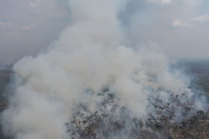 A fire inside the Jaci Paraná Extractive Reserve in Porto Velho.