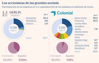 Los accionistas de las grandes socimis