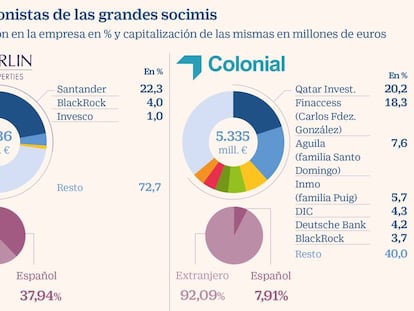 Los accionistas de las grandes socimis