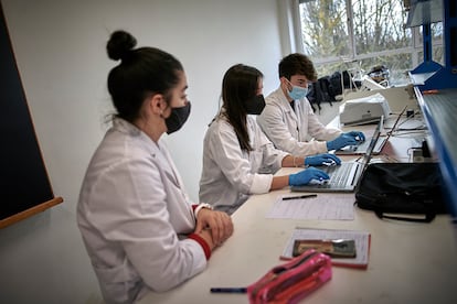 Alumnos de grado de Biotecnología de la Universidad Pública de Navarra durante unas prácticas.