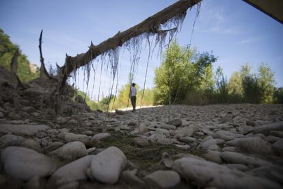 Una joven camina por el río Ebro seco.