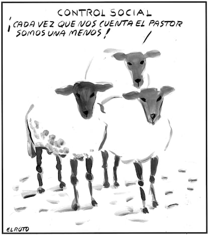 Roto 24/07/24