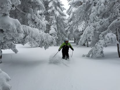 Nieve en polvo en la estación de Valdelinares, en la provincia de Teruel, donde estos días anuncian un espesor de entre 65 y 150 centímetros con calidad entre nieve polvo y dura.