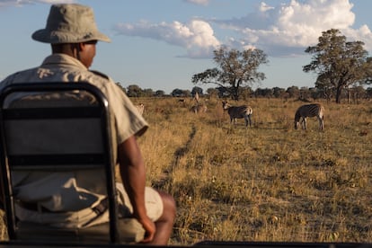 "Cuando llegas a un hotel de lujo en el Okavango, encuentras que la tierra está protegida a nivel gubernamental y administrada por las comunidades". Hoy, el 38% del territorio nacional está bajo este estatus y se alquila por periodos de 15 años (renovables por otros 15) a empresas que cumplen los criterios de gestión sostenible que marca el Gobierno.