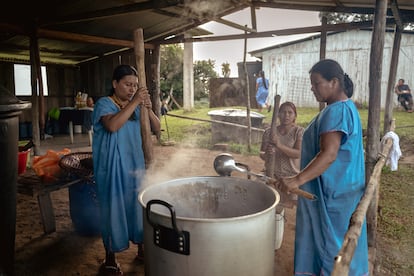 Mujeres Koreguaje preparan extraen aceite de palma de milpes.