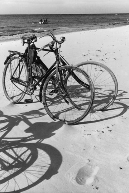 Unas bicicletas descansan a la orilla de una playa.