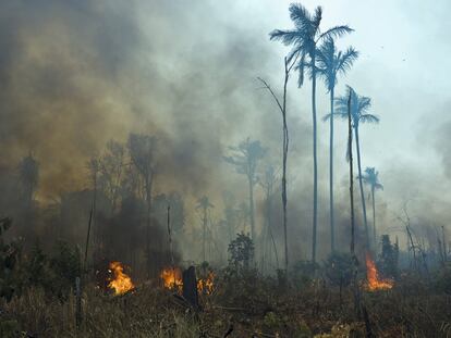 Na imagem, o fogo destrói a área protegida do assentamento rural chamado Vitória.