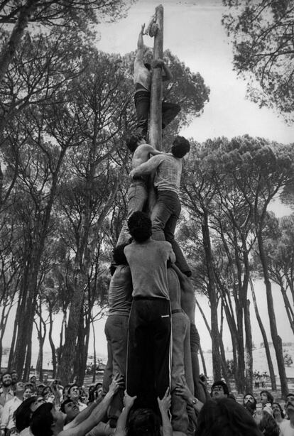 Cucaña en la romería popular de San Isidro en la Casa de Campo de Madrid, el 15 de mayo de 1979.