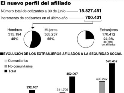PERFIL AFILIADO
