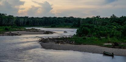Imagen de la Amazonía peruana.