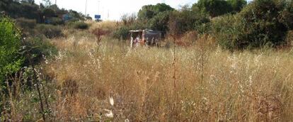 Chabola localizada junto a la plantación de marihuana.