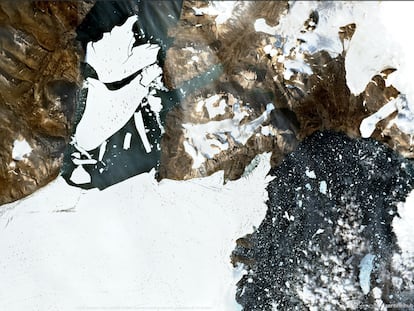 El pasado septiembre, un iceberg de cerca de 110 kilómetros cuadrados se desgajó del área 79N, al noreste de Groenlandia.