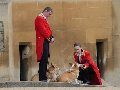 Members of staff, with corgi dogs, await the arrival of the coffin of Queen Elizabeth II at Windsor Castle, Windsor, England, Monday Sept. 19, 2022. The Queen, who died aged 96 on Sept. 8, will be buried at Windsor alongside her late husband, Prince Philip, who died last year. (AP Photo/Gregorio Borgia, Pool)