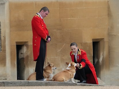 Members of staff, with corgi dogs, await the arrival of the coffin of Queen Elizabeth II at Windsor Castle, Windsor, England, Monday Sept. 19, 2022. The Queen, who died aged 96 on Sept. 8, will be buried at Windsor alongside her late husband, Prince Philip, who died last year. (AP Photo/Gregorio Borgia, Pool)