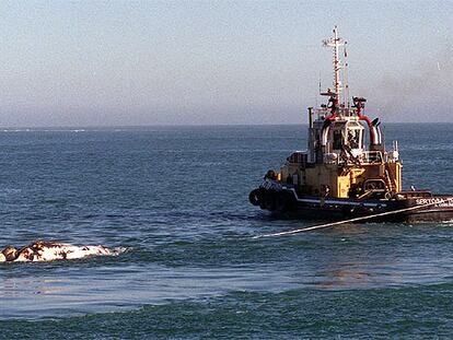 El remolcador de Vigo <i>Sertosa Trenta</i> da la vuelta con la ballena, tras no autorizarse inicialmente su entrada al puerto de Bermeo.
