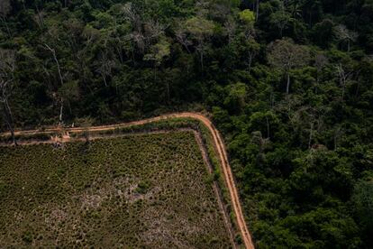 O contraste entre uma área de fazenda de gado e mata virgem no Acre.