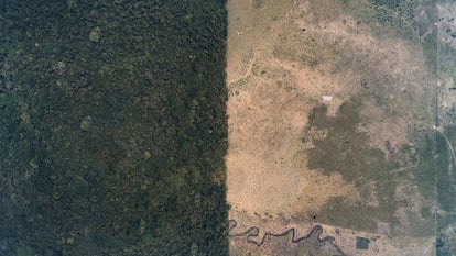 Deforestación en la selva Lacandona en el municipio de Marqués de Comillas, Chiapas.