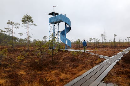Torre de observación de las turberas del Parque Nacional de Soomaa.