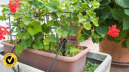 Artículo de EL PAÍS Escaparate que describe los mejores sistemas de riego automático para las plantas del hogar.