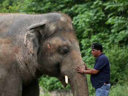 El elefante Kaavan junto a un miembro de la organización protectora Four Paws International. 