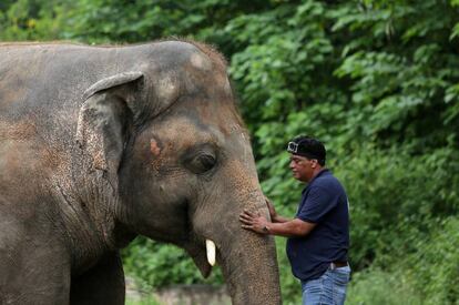 El elefante Kaavan junto a un miembro de la organización protectora Four Paws International. 