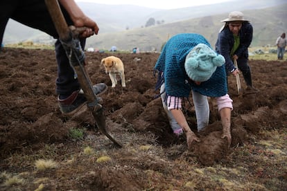 cambio climático Perú