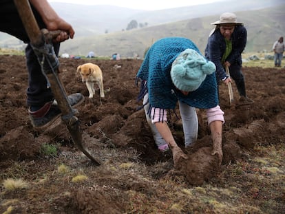 cambio climático Perú