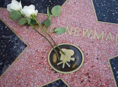 La estrella de Paul Newman en el Bulevar de la Fama, con dos rosas.