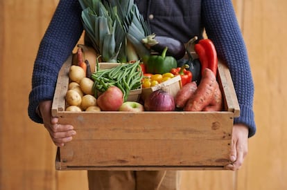 "Hago la compra. Paso por el tortuoso trámite de las bolsas, los guantes, los cajones y el peso, y regreso a mi domicilio arrastrando cuatro kilos de fruta y verdura. Primer dilema: ¿dónde la guardo?".