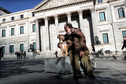 Un perro pasea con su dueño ante el Congreso de los Diputados