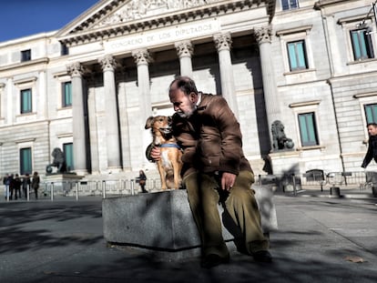 Un perro pasea con su dueño ante el Congreso de los Diputados